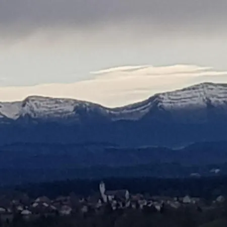 Alpenblick Apartment *