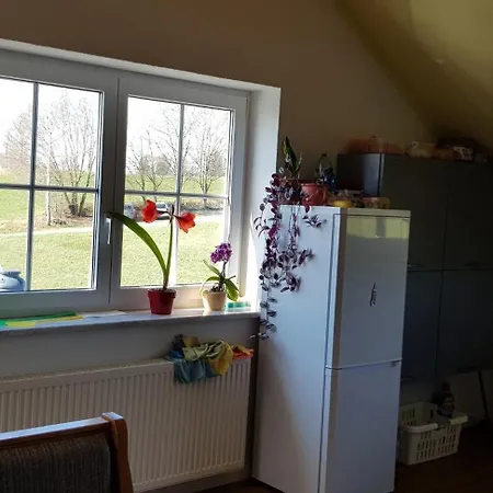 Alpenblick Apartment *
